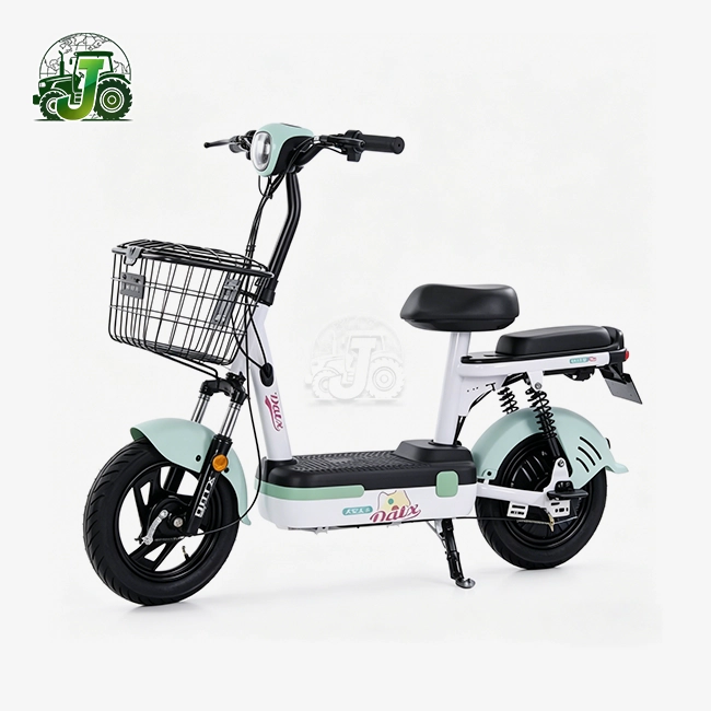 Economical Household Two-Wheel Electric Vehicle